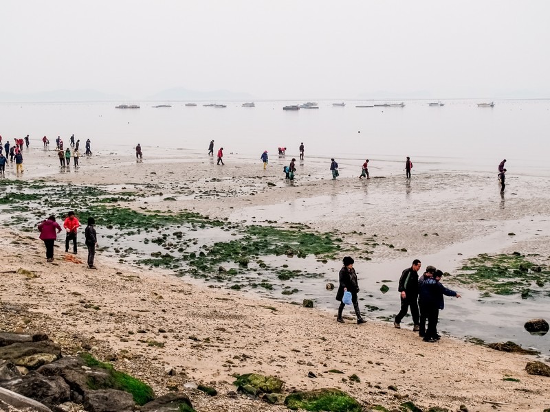 Jindo Sea Parting Festival (진도 신비의바닷길축제), Jindo, Jeollanam-do, Korea