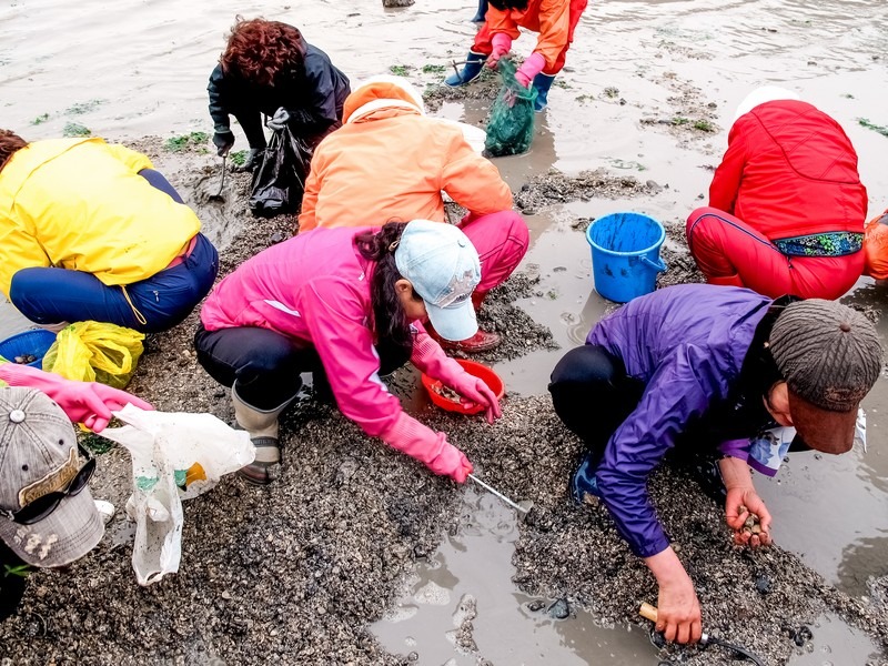 Jindo Sea Parting Festival (진도 신비의바닷길축제), Jindo, Jeollanam-do, Korea