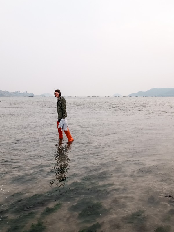 Jindo Sea Parting Festival (진도 신비의바닷길축제), Jindo, Jeollanam-do, Korea