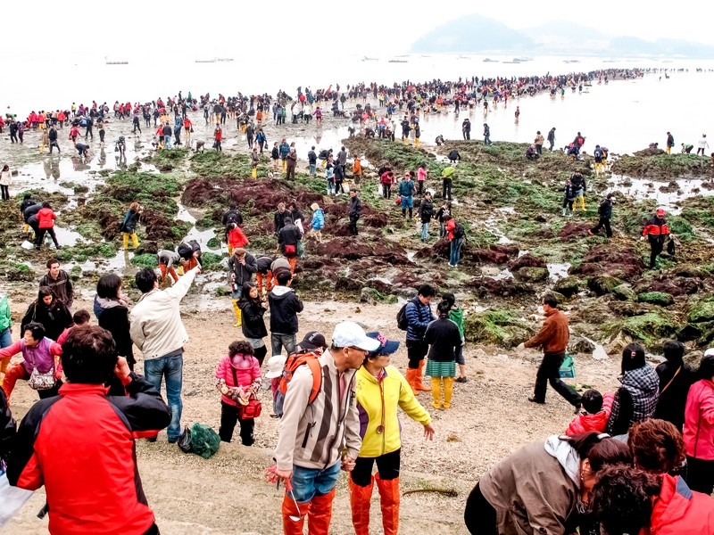 Jindo Sea Parting Festival (진도 신비의바닷길축제), Jindo, Jeollanam-do, Korea