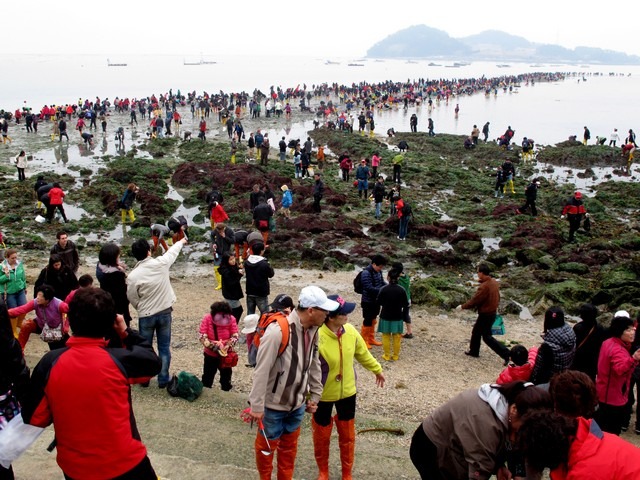 Jindo Miracle Sea Parting Festival, Korea