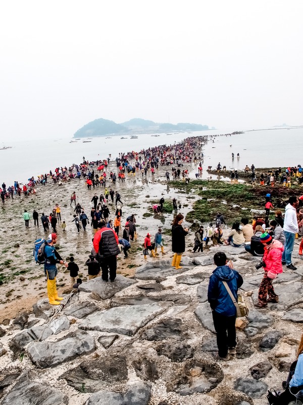 Jindo Sea Parting Festival (진도 신비의바닷길축제), Jindo, Jeollanam-do, Korea