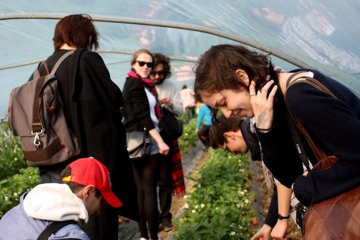 Nonsan Strawberry Festival, Nonsan, Korea