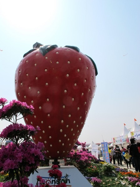 Nonsan Strawberry Festival, Nonsan, Korea