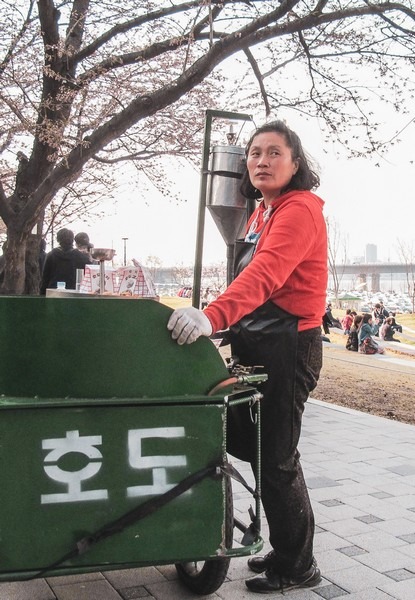 Yeouido Cherry Blossom Festival, Seoul, Korea