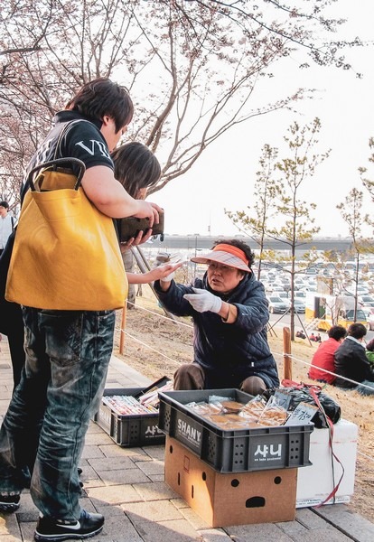 Yeouido Cherry Blossom Festival, Seoul, Korea