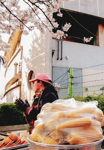 Yeouido Cherry Blossom Festival, Seoul, Korea