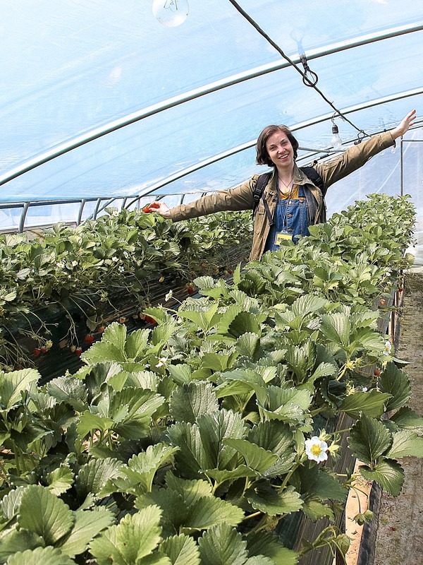 Nonsan Strawberry Festival (논산딸기축제), Nonsan, Chungcheongnam-do, Korea