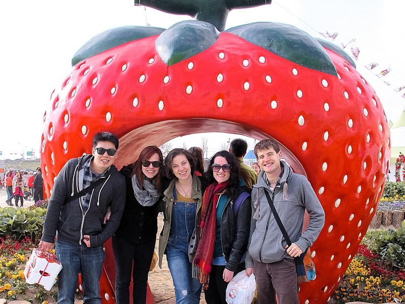 Nonsan Strawberry Festival (논산딸기축제), Nonsan, Chungcheongnam-do, Korea