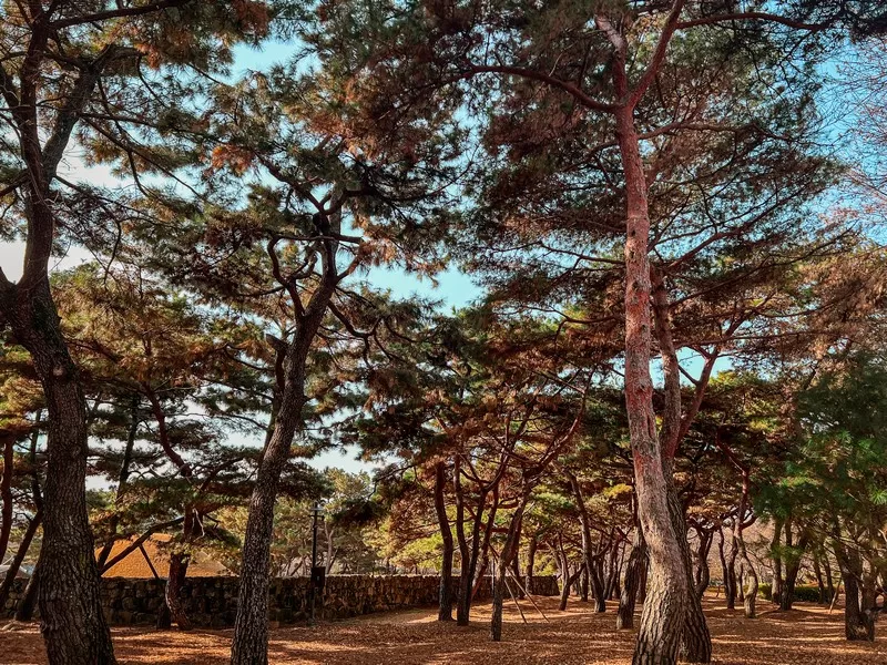 King Suro's tomb (수로왕릉), Gimhae, Korea
