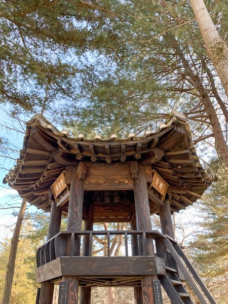 Nami Island, Gapyeong, Korea