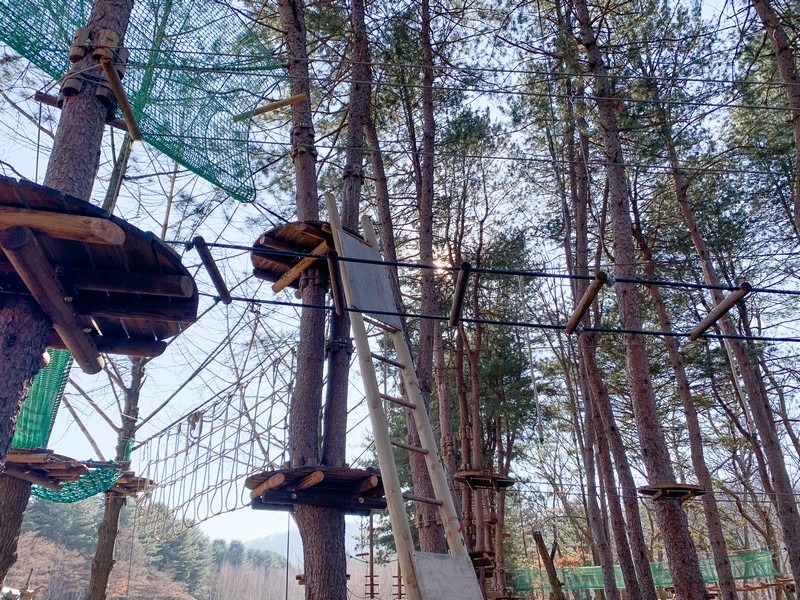 Nami Island, Gapyeong, Korea