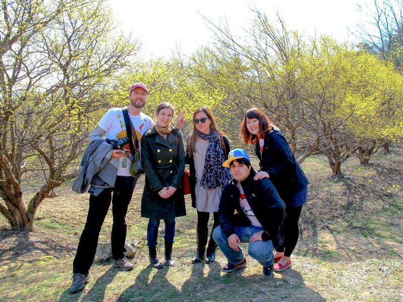 Icheon Sansuyu Festival, Icheon, Korea