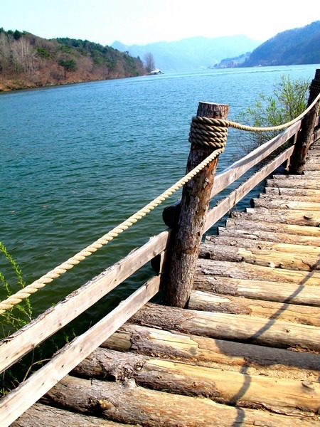 Nami Island, Chuncheon, Korea