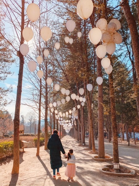 Nami Island, Gapyeong, Korea