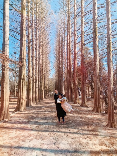 Nami Island, Gapyeong, Korea