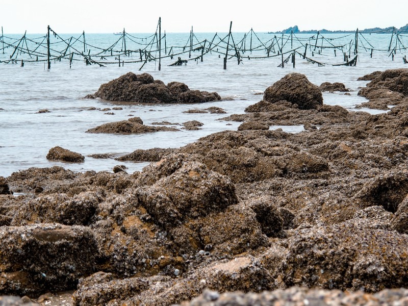 Seonnyeo Rock Beach (선녀바위해수욕장), Incheon, Korea