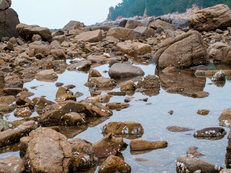 Seonnyeo Rock Beach (선녀바위해수욕장), Incheon, Korea