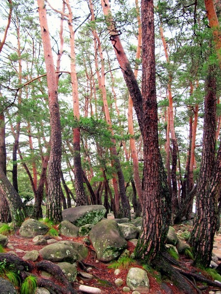 Geochang, Korea: Suseungdae