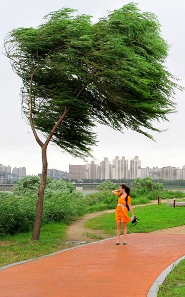 Typhoon, Seoul, Korea