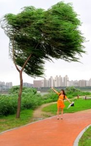 Typhoon, Seoul, Korea