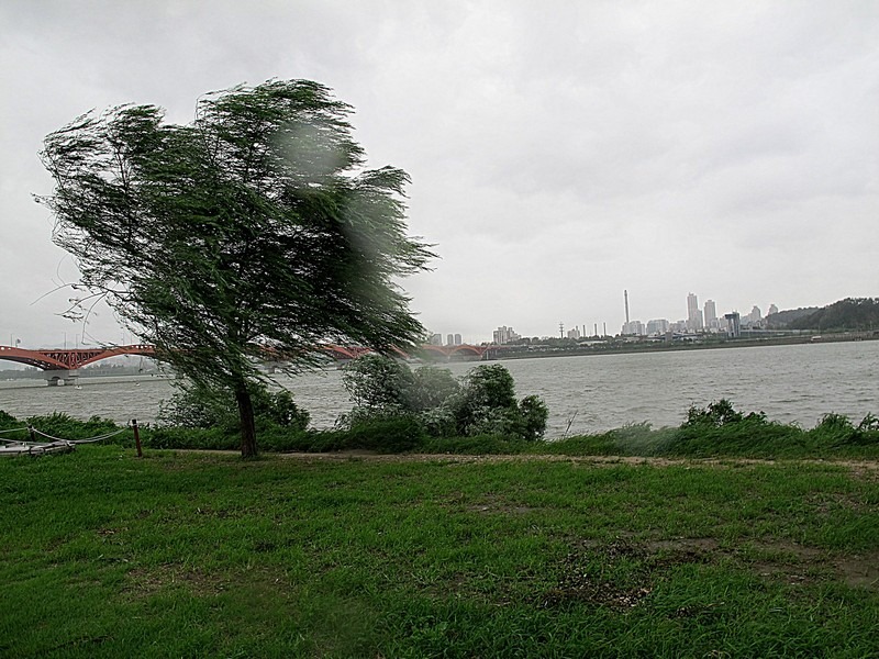 Typhoon, Seoul, Korea