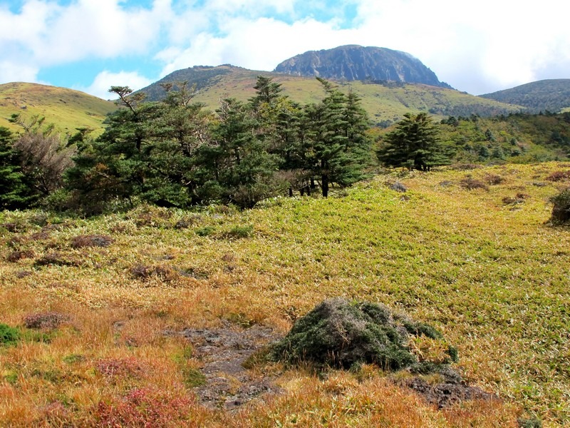 Jeju, Korea: Mt. Halla