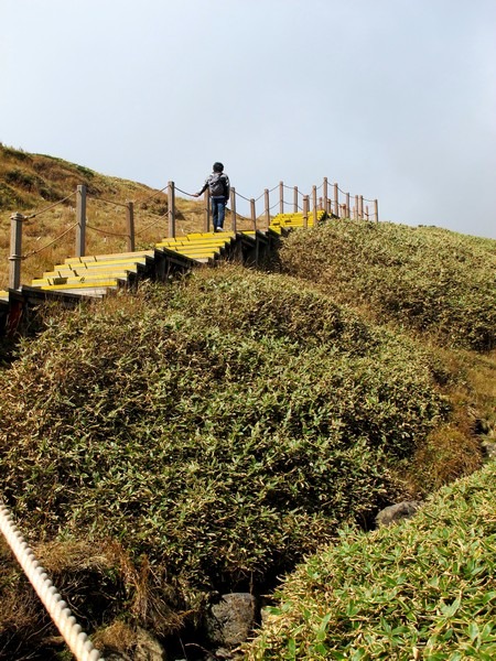 Jeju, Korea: Mt. Halla