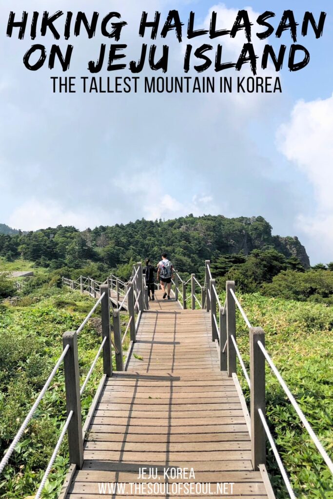 Jeju Island: Hiking Mount Hallasan by Eorimok Trail: Eorimok Trail on Hallasan Mountain is a popular trail for many visitors to the tallest mountain in South Korea. Learn more: Hiking on Jeju Island.