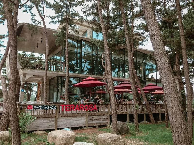 Terarosa (테라로사 커피공장), Gyeongpo Beach, Gangneung, Korea; summer in Korea; Korean east coast