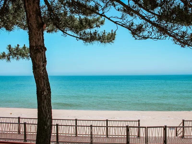 Jeongdongjin Beach, Gangneung, Korea