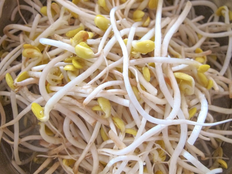 How to make Korean Sesame bean sprout side dish (콩나물무침)