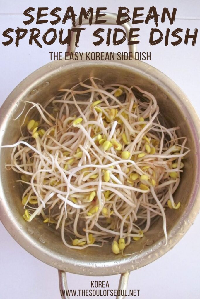 Korean Cooking: Sesame Bean Sprout Side Dish: Korean sesame bean sprout side dish is quick to whip up and really delicious. Here's what to do with those extra bean sprouts.