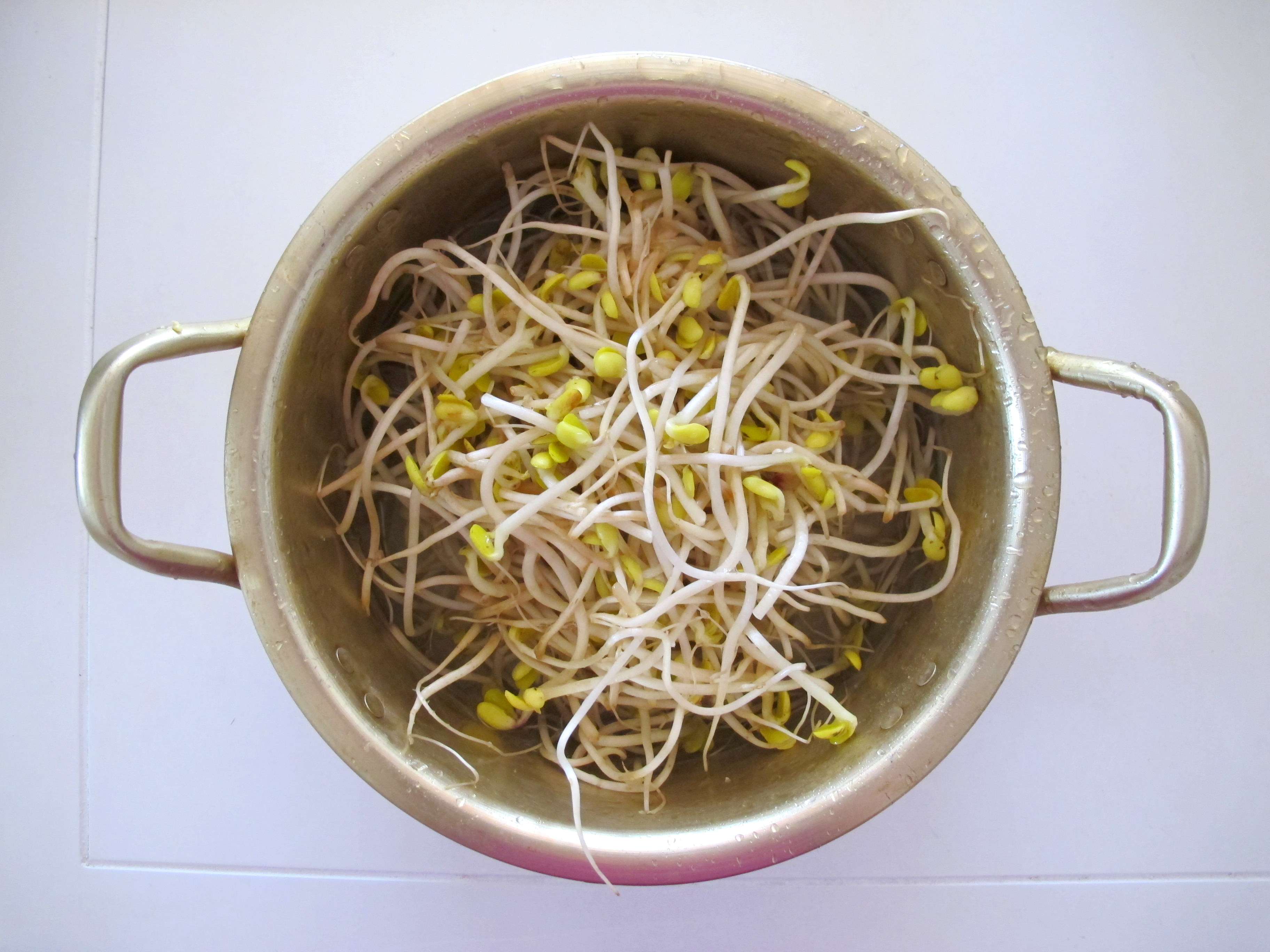 cooking bean sprouts