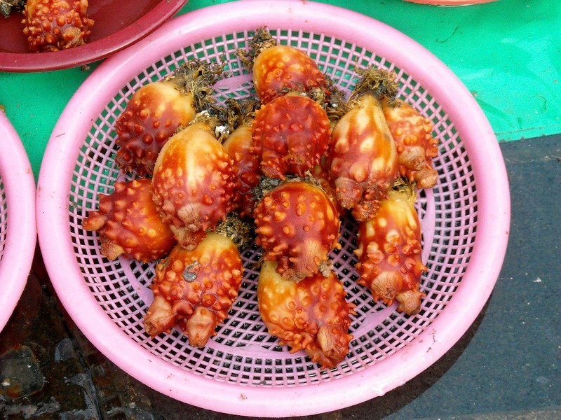 Jagalchi Fish Market, Busan, Korea