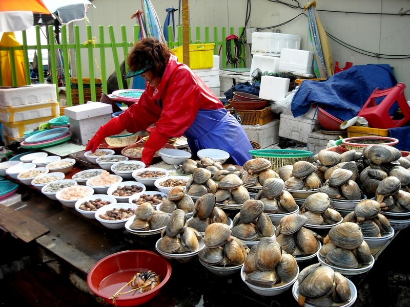 Jagalchi Fish Market, Busan, Korea