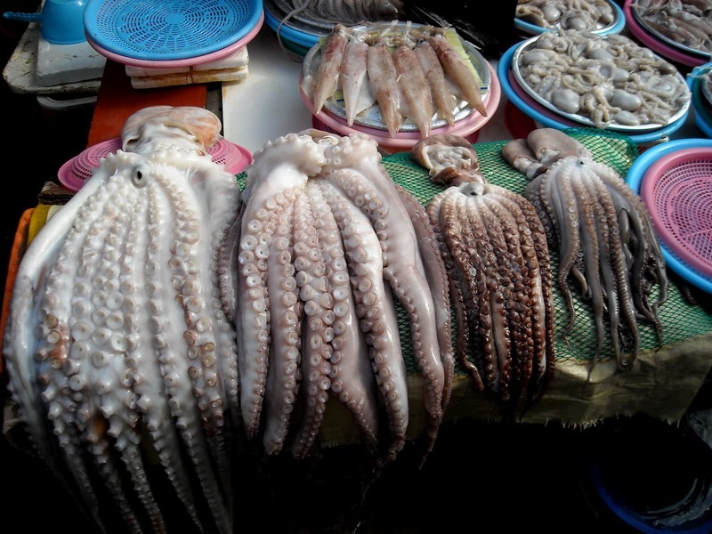 Jagalchi Fish Market, Busan, Korea