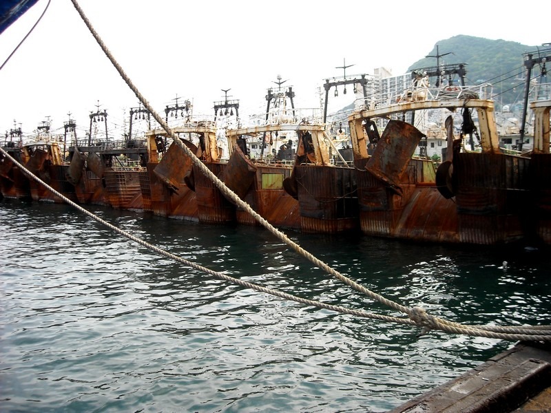 Jagalchi Fish Market, Busan, Korea