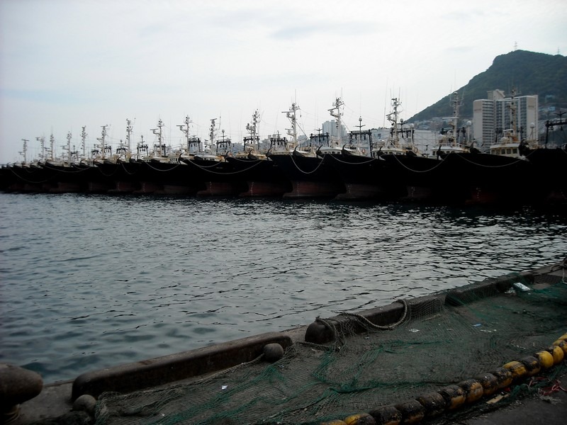 Jagalchi Fish Market, Busan, Korea