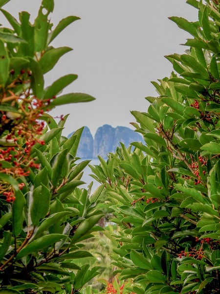 Oedo Botania, Oedo Island, Geoje Island, Busan, Korea