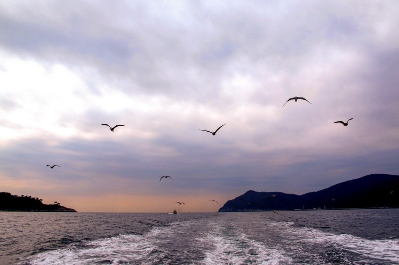 Oedo Botania, Oedo Island, Geoje Island, Busan, Korea