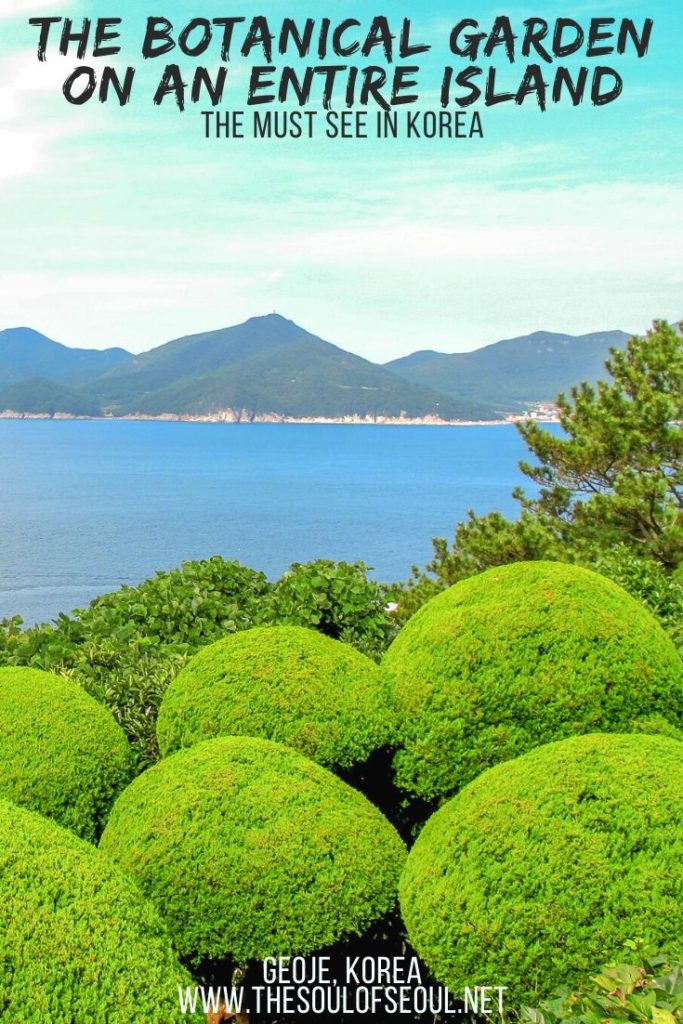 Oedo Island: How To Get There From Geoje & What To See: Oedo is a marine botanical garden a part of the Hallyeo Maritime National Park in the south of Korea. Can get to this paradise-like island where Winter Sonata was also filmed via boat. Must see off the coast of Geoje Island just south of Busan, Korea.