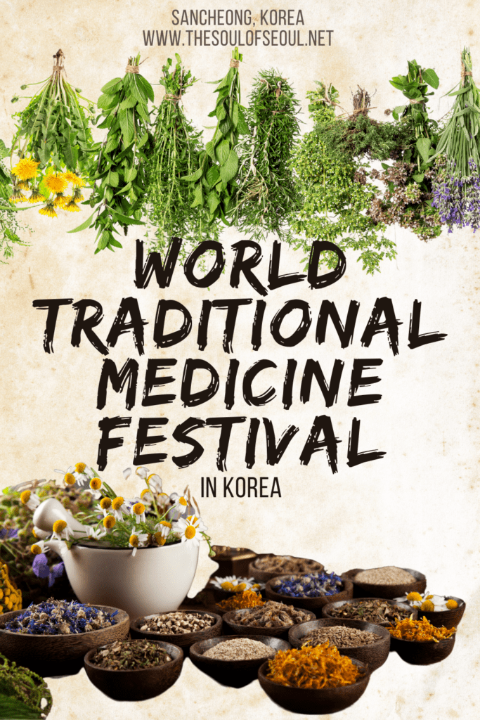 The Sancheong World Traditional Medicine Fair & Festival: Learn more about world traditional medicine at the fair and festival set in Donguibogam Village in Sancheong-gun, Korea surrounded by beautiful mountains.