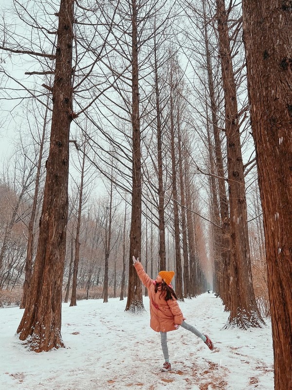 World Cup Park, Seoul, Korea; winter in Korea, snow