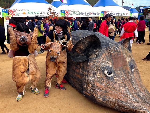 Cheongsong Apple Festival