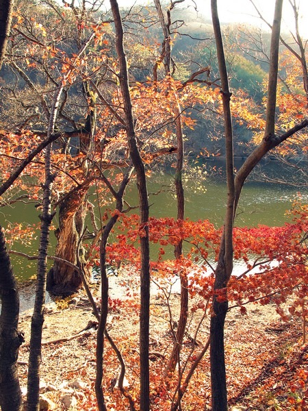 Jusanji Lake, Cheongsong, Korea