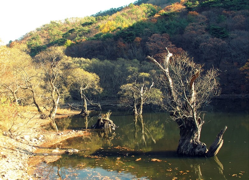 Jusanji Lake, Cheongsong, Korea