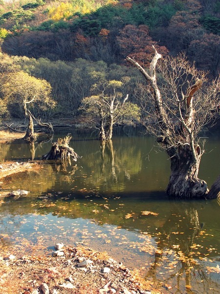 Jusanji Lake, Cheongsong, Korea