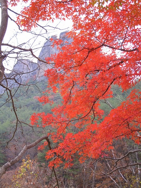 Daejeonsa Temple, Cheongsong, Korea