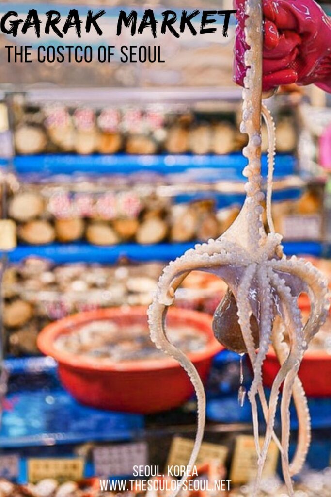 Garak Market: The Costco Of Seoul: The Garak Market is a wholesale market for the most part but also houses a great fish market that you can buy from and eat near. Eat fish fresh in Seoul.